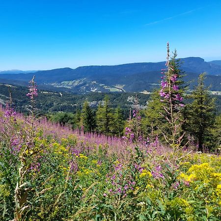 Duplex 59M2 - Proche Centre - Balcon Plein Sud Leilighet Corrençon-en-Vercors Eksteriør bilde
