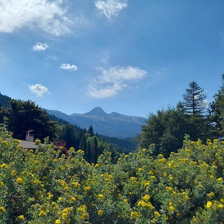 Duplex 59M2 - Proche Centre - Balcon Plein Sud Leilighet Corrençon-en-Vercors Eksteriør bilde