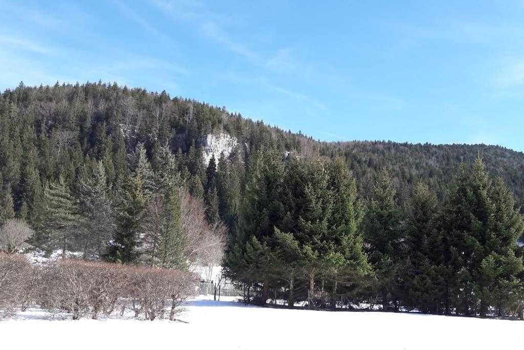 Duplex 59M2 - Proche Centre - Balcon Plein Sud Leilighet Corrençon-en-Vercors Eksteriør bilde