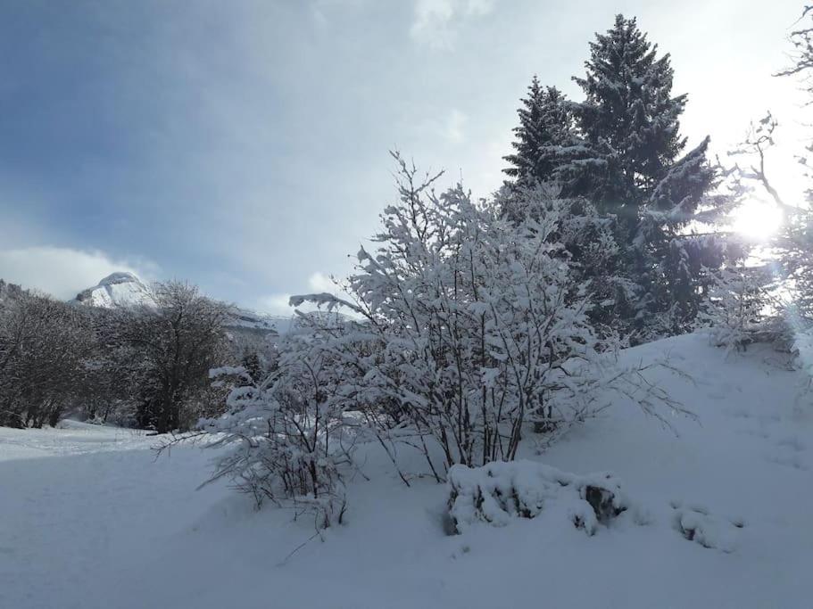 Duplex 59M2 - Proche Centre - Balcon Plein Sud Leilighet Corrençon-en-Vercors Eksteriør bilde