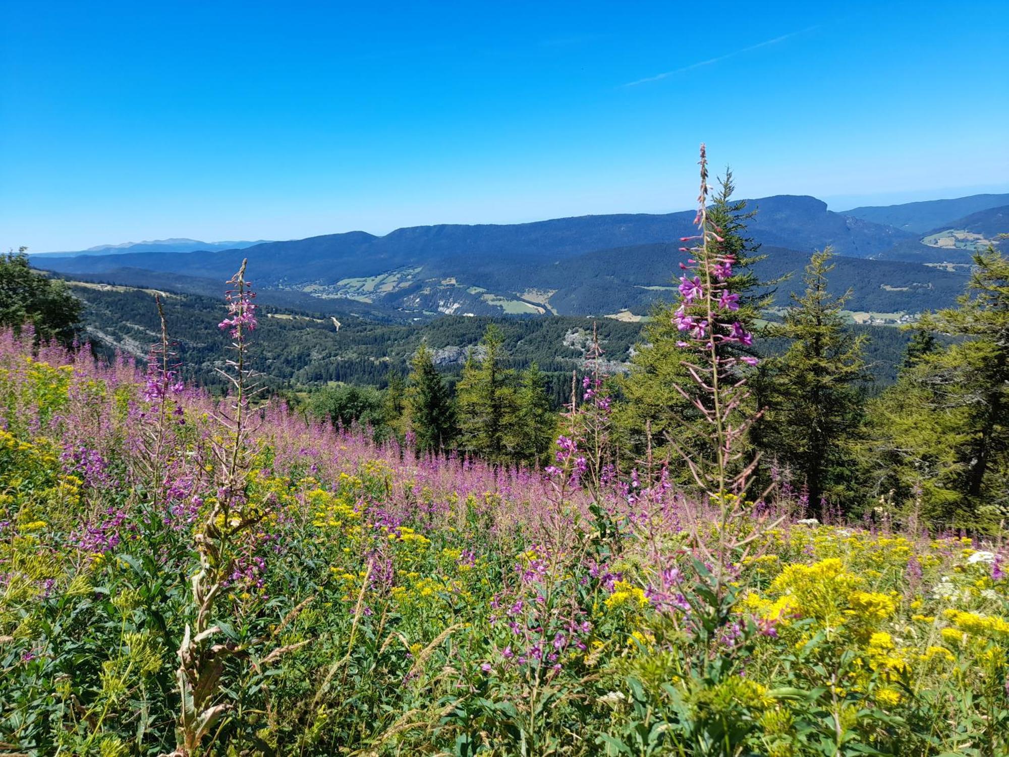 Duplex 59M2 - Proche Centre - Balcon Plein Sud Leilighet Corrençon-en-Vercors Eksteriør bilde