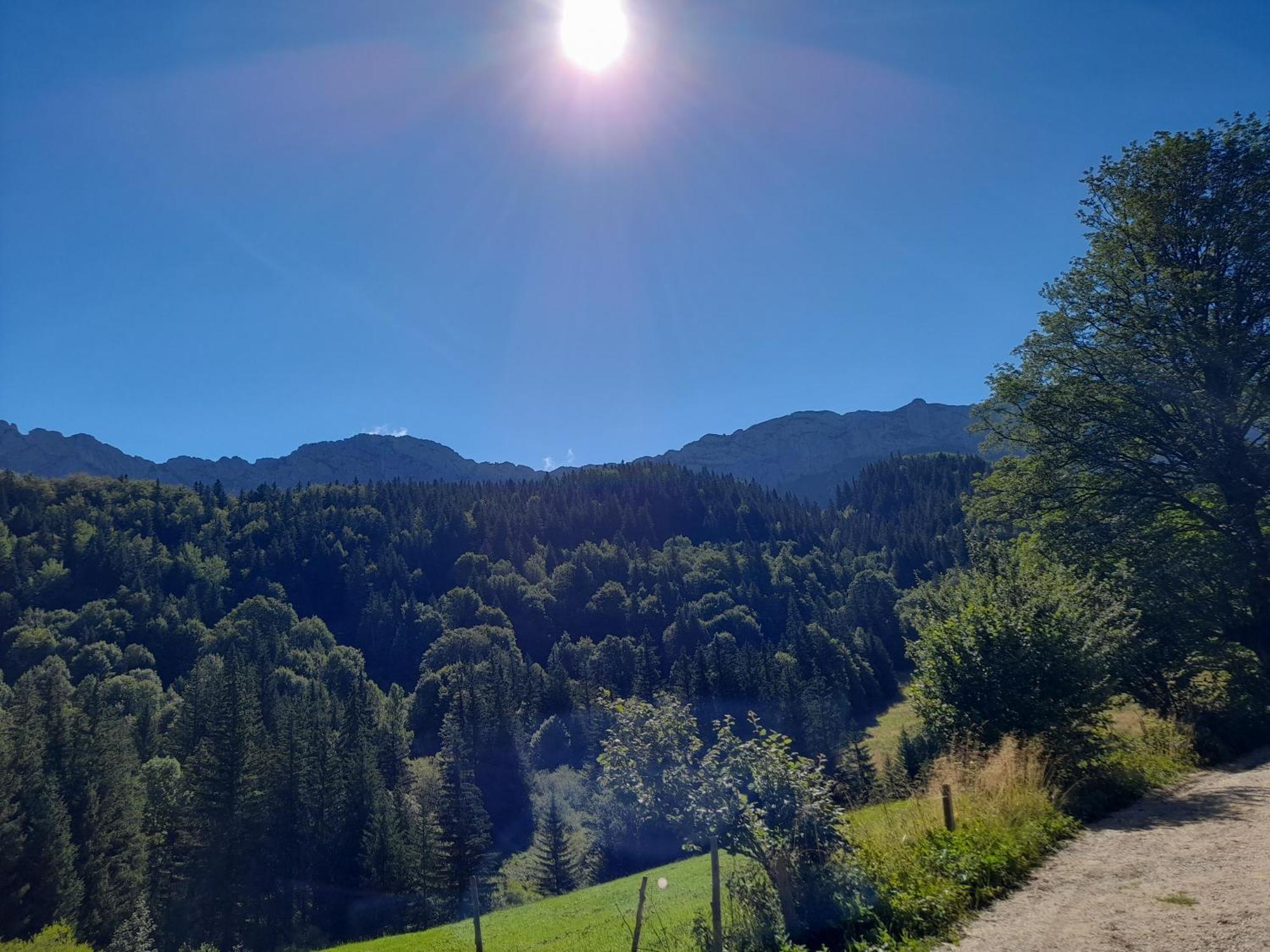 Duplex 59M2 - Proche Centre - Balcon Plein Sud Leilighet Corrençon-en-Vercors Eksteriør bilde
